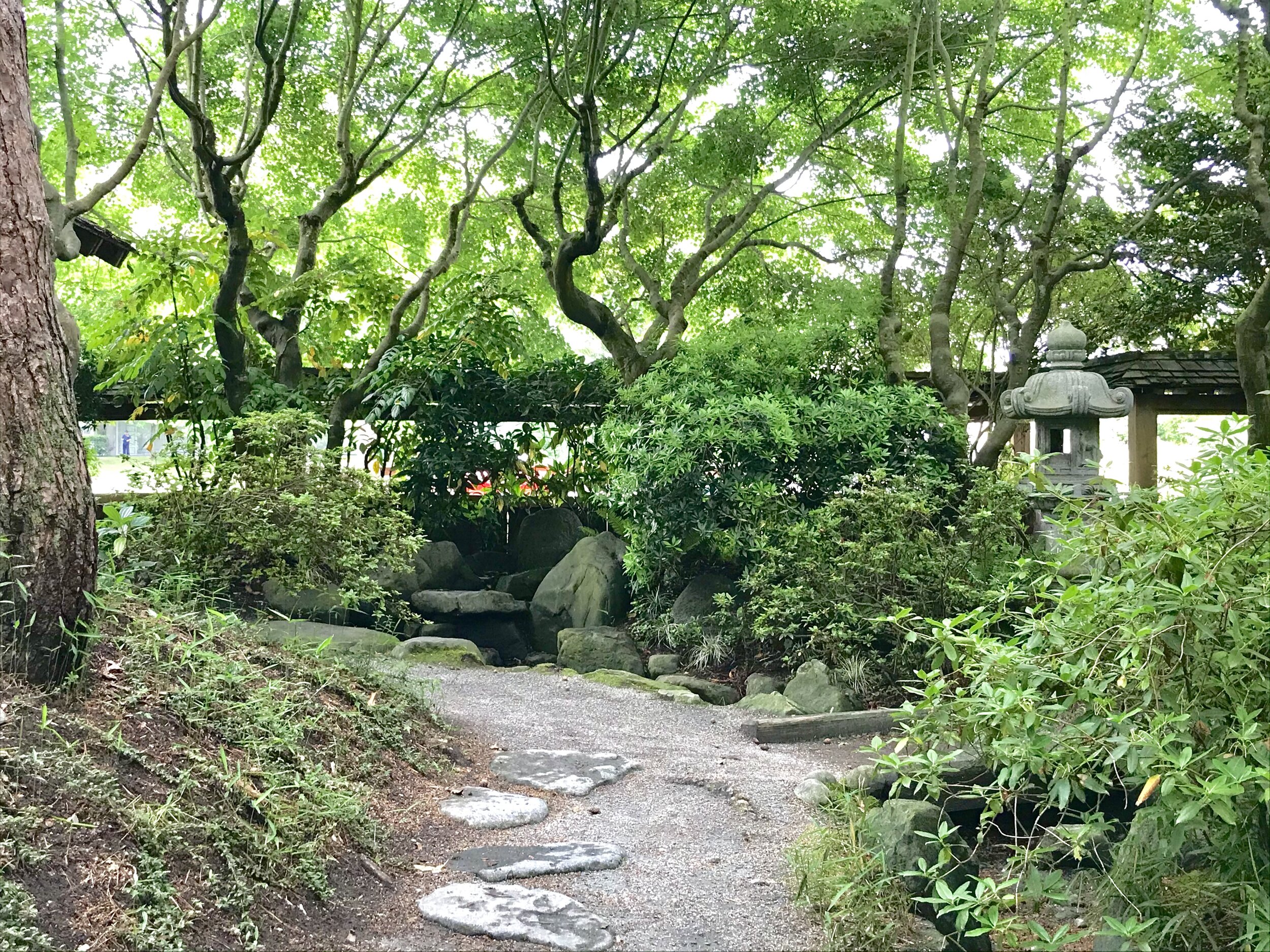 Stewardship of the North Shore